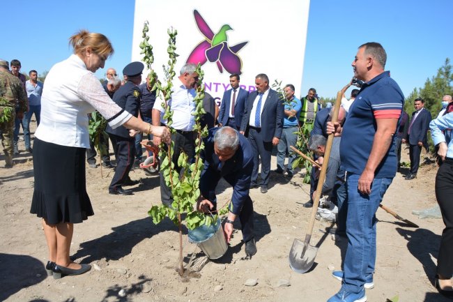 Tərtərdə 27 sentyabr Anım Günü şəhidlərin xatirəsinə ağacəkmə aksiyası keçirilib