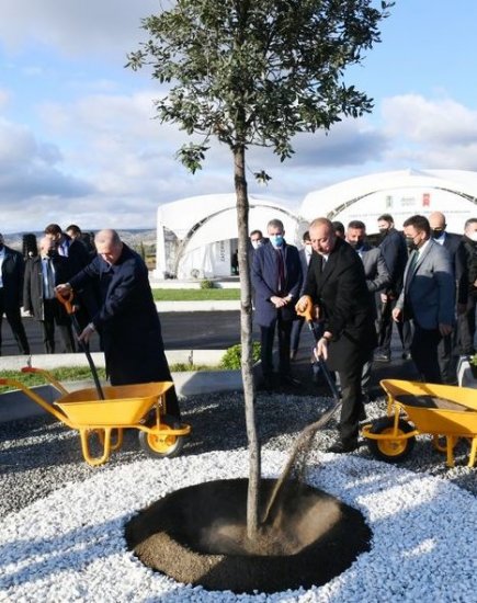 Prezidentlər Şərqi Zəngəzurda ağac əkiblər - YENİLƏNİB + FOTO/VİDEO