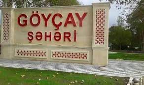Göyçayda qoçu məmur PEYDA OLUB... - İTTİHAM