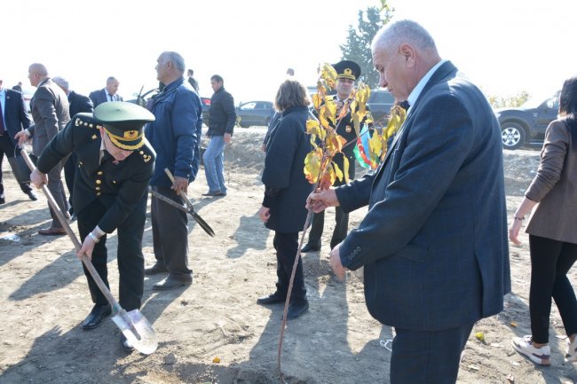 Tərtərdə 8 Noyabr-Zəfər Günü münasibətilə ağacəkmə aksiyası keçirilib