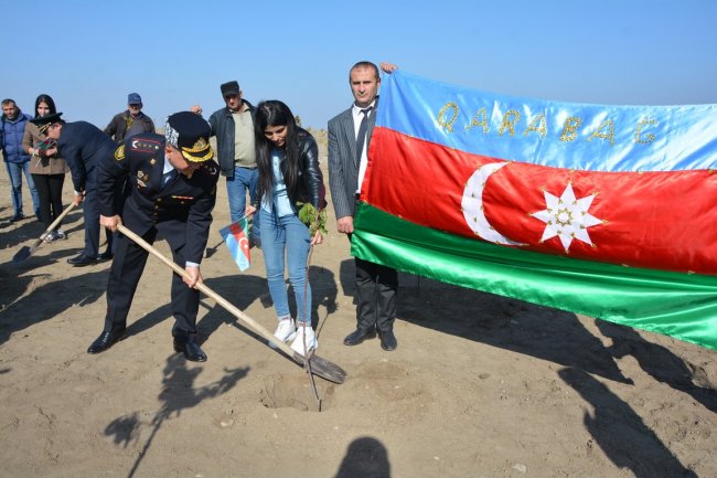 Tərtərdə 8 Noyabr-Zəfər Günü münasibətilə ağacəkmə aksiyası keçirilib