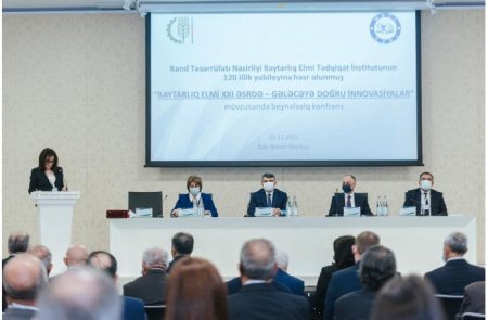 Xanım direktordan 42 minlik şübhəli tender – Əvvəlki işindən də qovulubmuş...