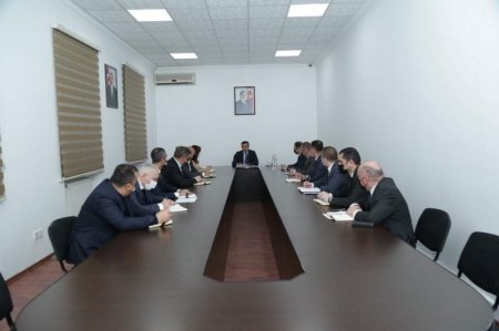 Şəmkirin icra başçısı haqda İLGİNC İDDİALAR... - "Tənqidi məsələyə belə “isti” yanaşdığına görə..."