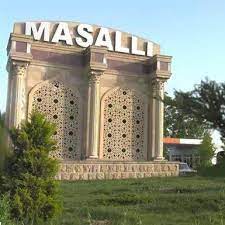 Masallıda narazılıq yaradan KİMLƏRDİR? - Vətəndaş CANA DOYUB