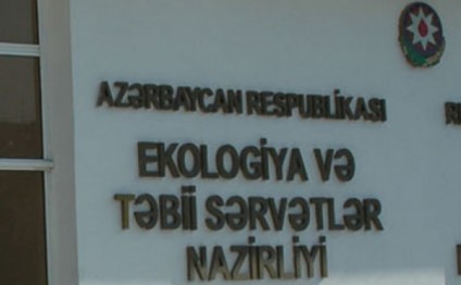 Bakının mərkəzində YAŞILLIQLAR MƏHV OLUNUR - FOTO, VİDEO